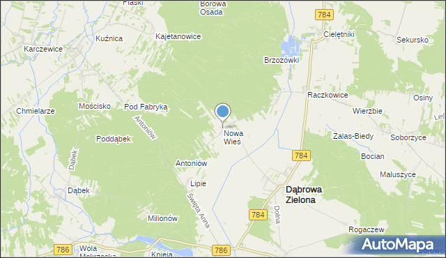 mapa Nowa Wieś, Nowa Wieś gmina Dąbrowa Zielona na mapie Targeo